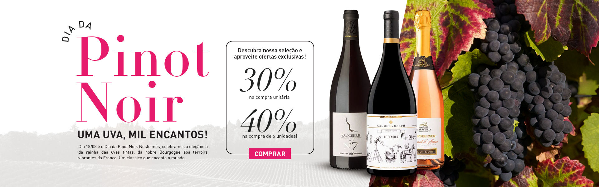 Uva Pinot Noir
